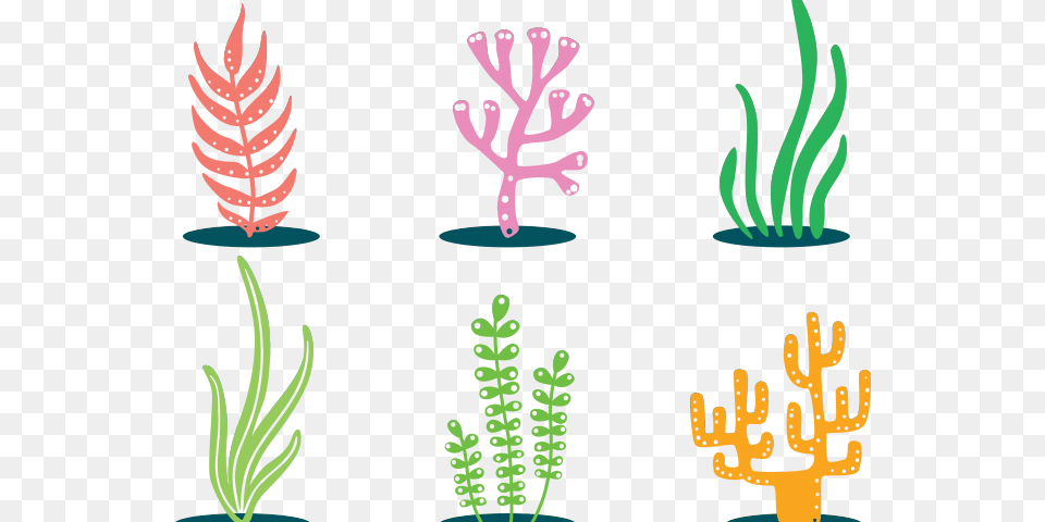 Seaweed Clipart Colorful Colorful Cartoon Seaweed Clipart, Plant, Tree, Nature, Outdoors Png Image