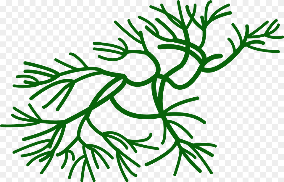 Seaweed Clipart Free Vector, Plant, Tree Png