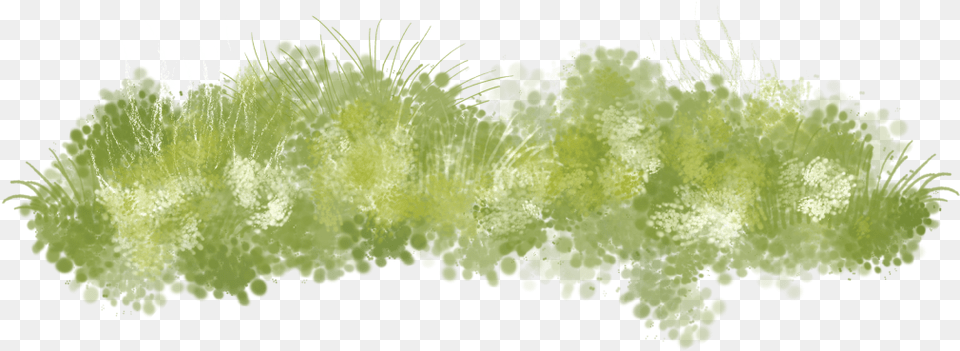 Seaweed Clipart Grass Land Hand Painted Grass, Green, Moss, Plant, Vegetation Png Image