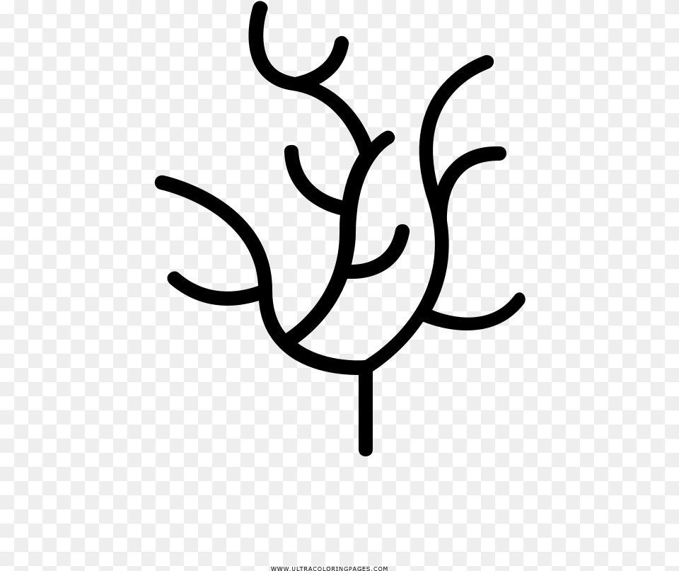Seaweed Coloring Page, Gray Free Png Download