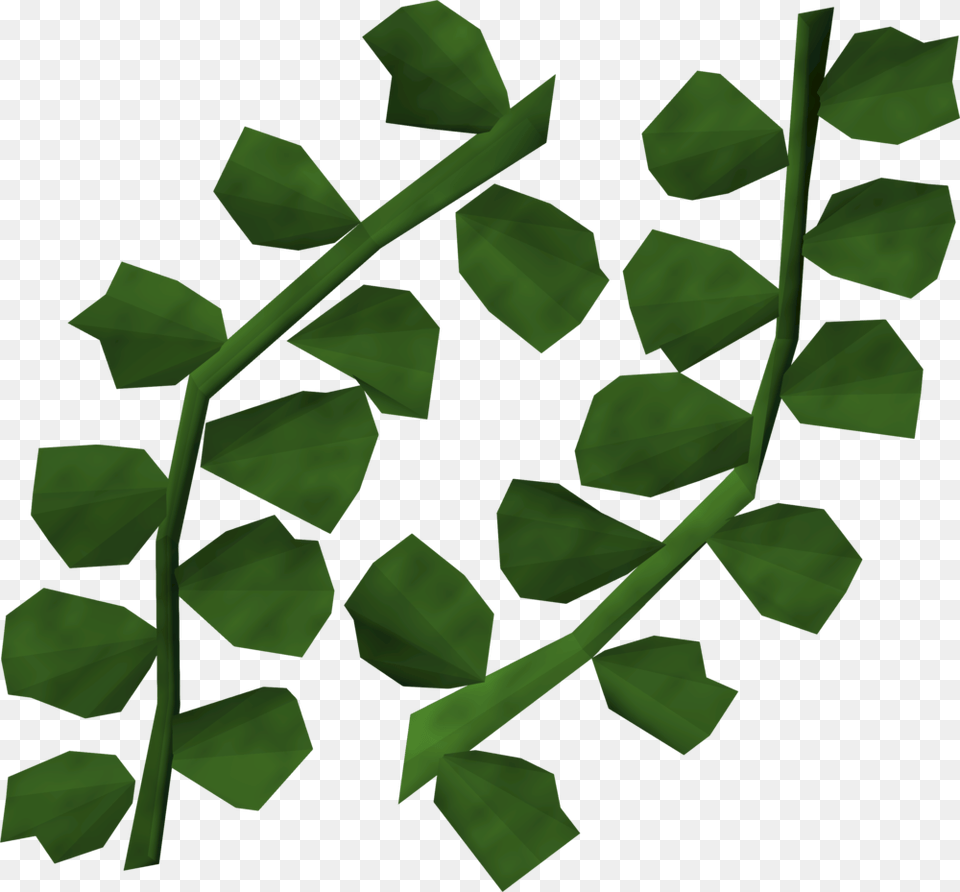 Seaweed Detail, Green, Leaf, Plant, Vine Free Transparent Png