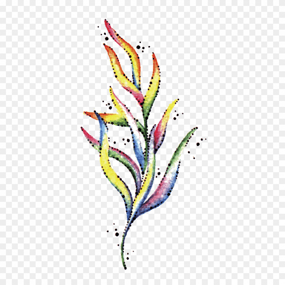 Seaweed Floral Design, Art, Graphics, Pattern, Plant Png