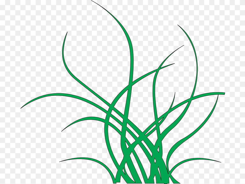 Seaweed Green Image On Pixabay Yosun, Art, Pattern, Plant, Grass Png