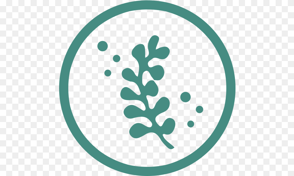 Seaweed Icon Transparent, Nature, Outdoors, Pattern, Snow Free Png Download