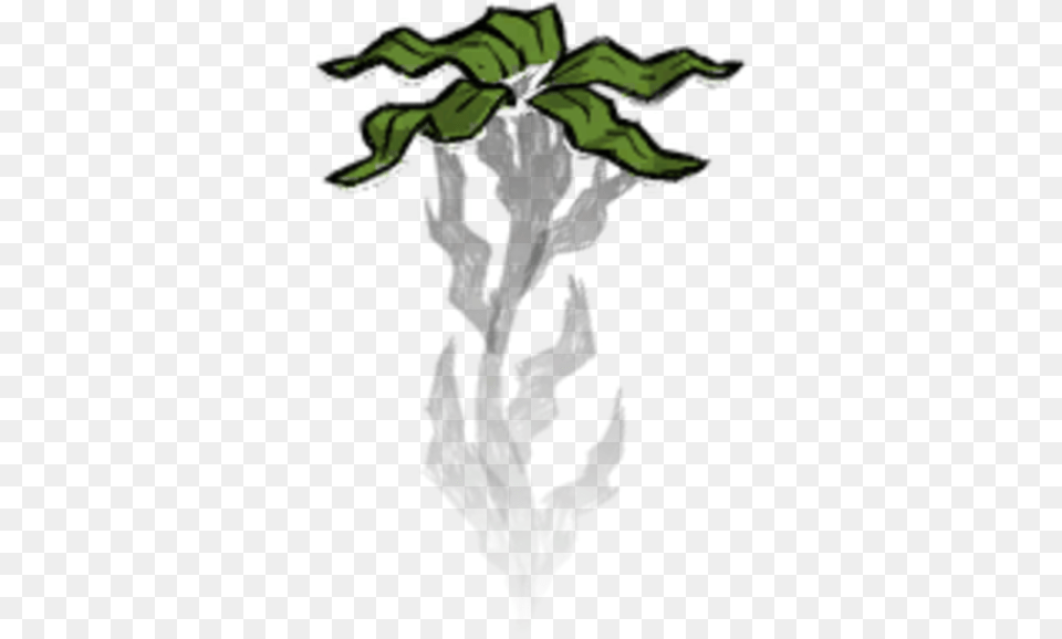 Seaweed Planted Don T Starve Seaweed, Potted Plant, Plant, Green, Leaf Free Png