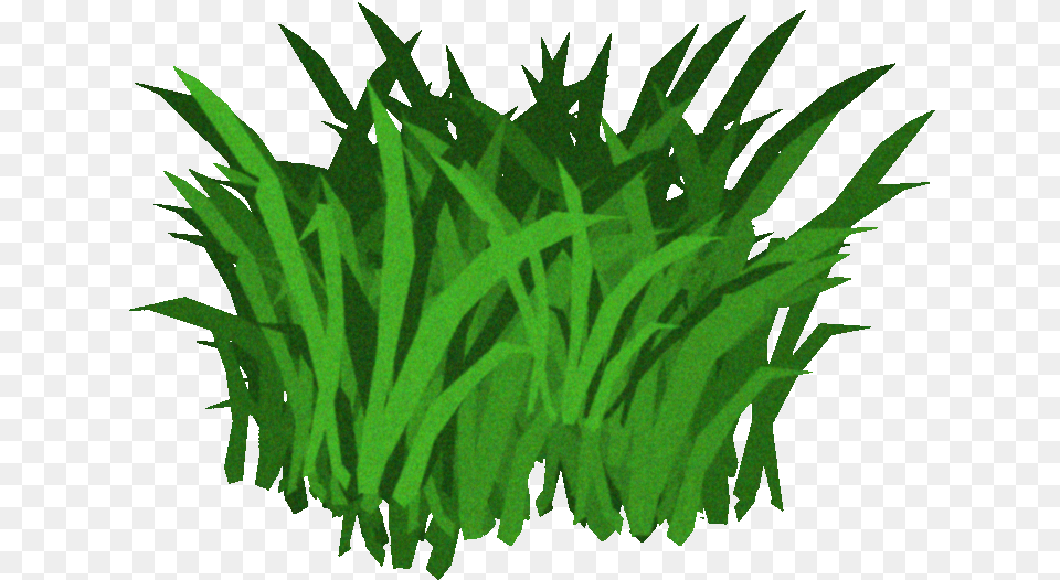Seaweed Transparent Background, Grass, Green, Plant, Aquatic Free Png Download