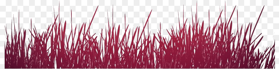 Seaweed Transparent Images Grass, Plant, Fireworks, Flower, Purple Free Png