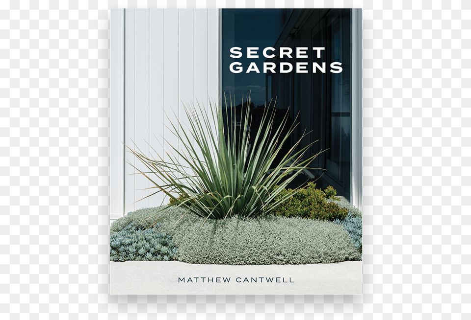 Secret Gardens Matthew Cantwell, Agavaceae, Plant, Grass Free Png Download