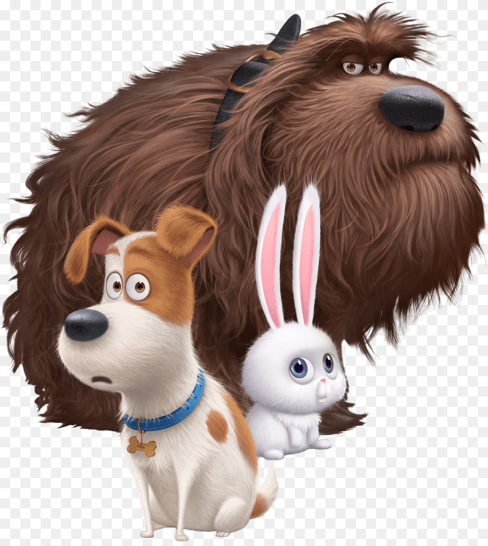 Secret Life Of Pets Secret Life Of Pets Transparent Free Png