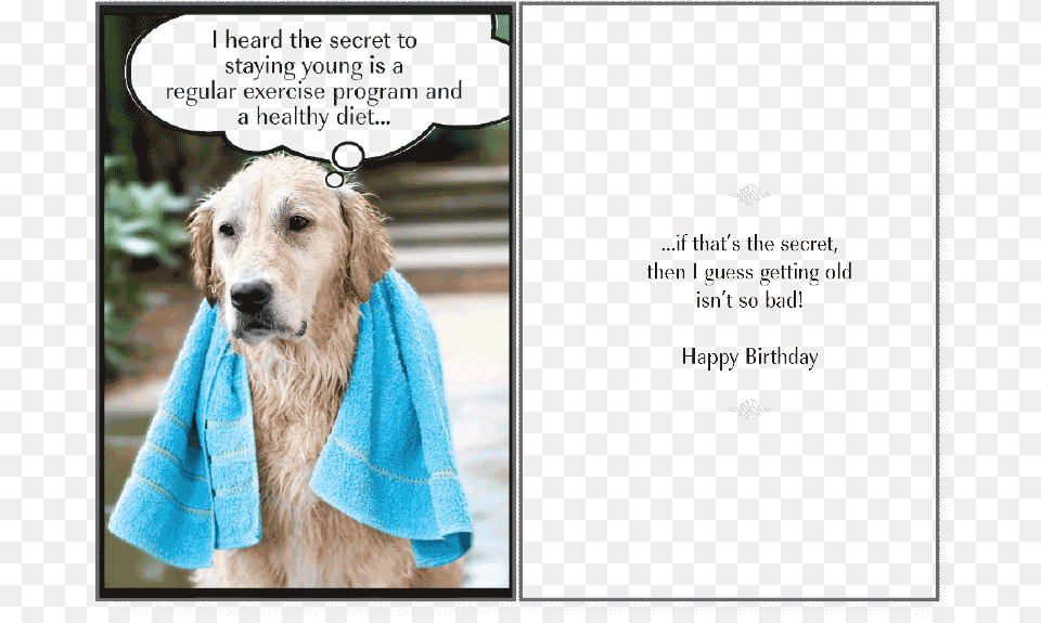 Secret To Staying Birthday Card Happy Birthday Happy Birthday Dog Lover, Animal, Canine, Mammal, Pet Png Image