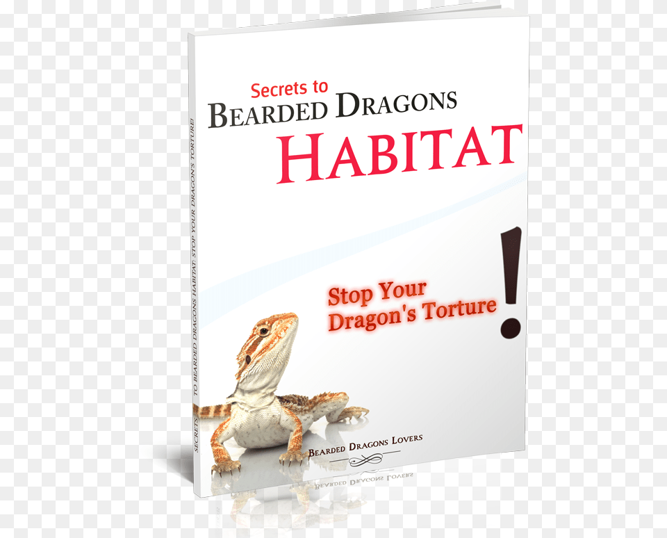 Secrets To Bearded Dragons Habitat Stop Your Dragonu0027s Torture Hackett London, Animal, Lizard, Reptile, Book Png Image