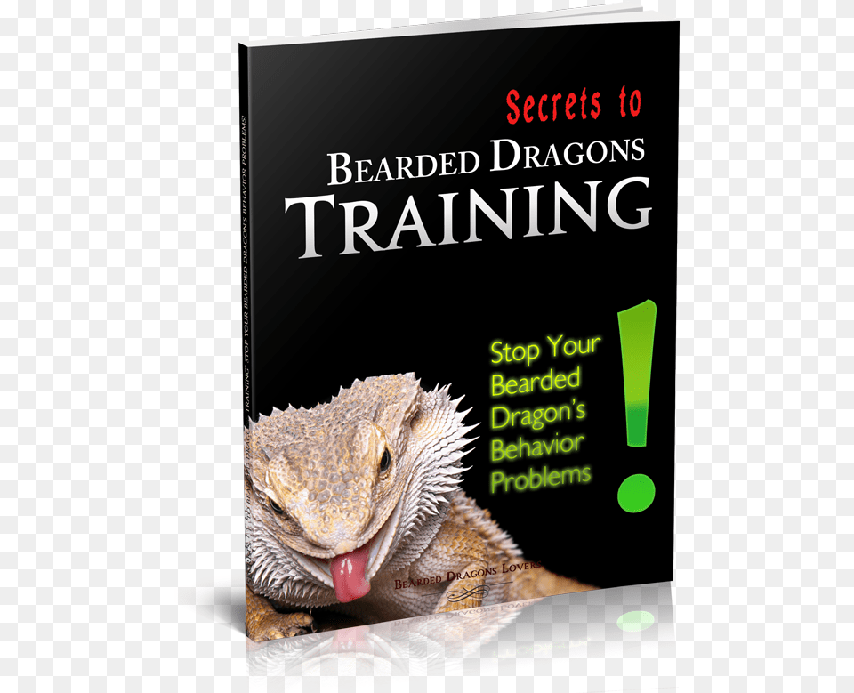 Secrets To Bearded Dragons Training Besrded Dragon Xmas Stocking, Animal, Iguana, Lizard, Reptile Free Png