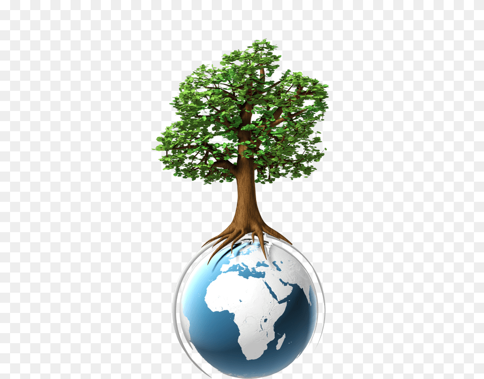Security Inks Environmental Map, Green, Plant, Potted Plant, Tree Png Image