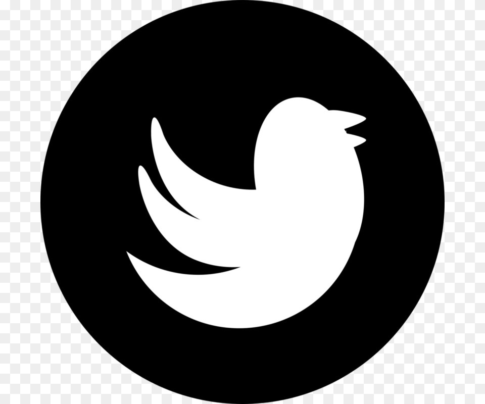 See Here New 2018 Twitter Logo Black And White Hd Images Twitter Icon Black Transparent, Stencil, Astronomy, Moon, Nature Png
