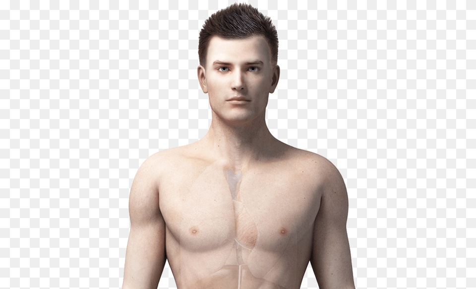 See How It Affects A Man Man Body, Portrait, Face, Head, Photography Png Image