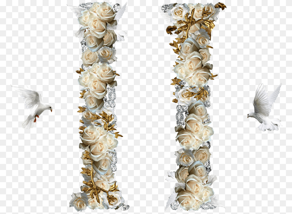 See Migos In Dublin Bird Supply, Accessories, Flower, Flower Arrangement, Ornament Png Image