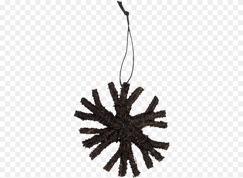 See The Original Image Illustration, Chandelier, Lamp, Accessories Free Transparent Png
