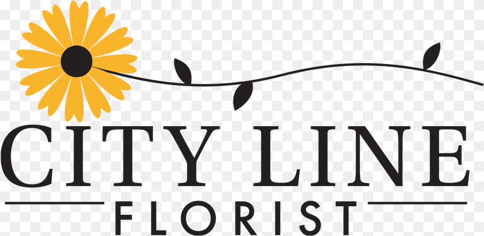 See What Others Are Saying About City Line Florist African Daisy, Flower, Petal, Plant, Sunflower Free Png