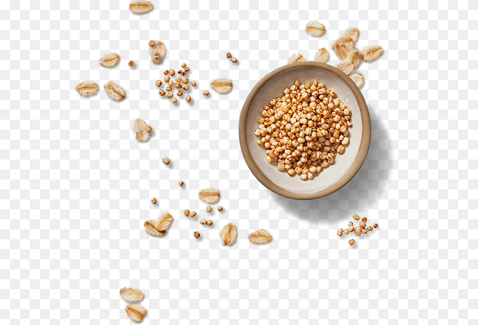 Seed, Food, Produce, Person Free Png