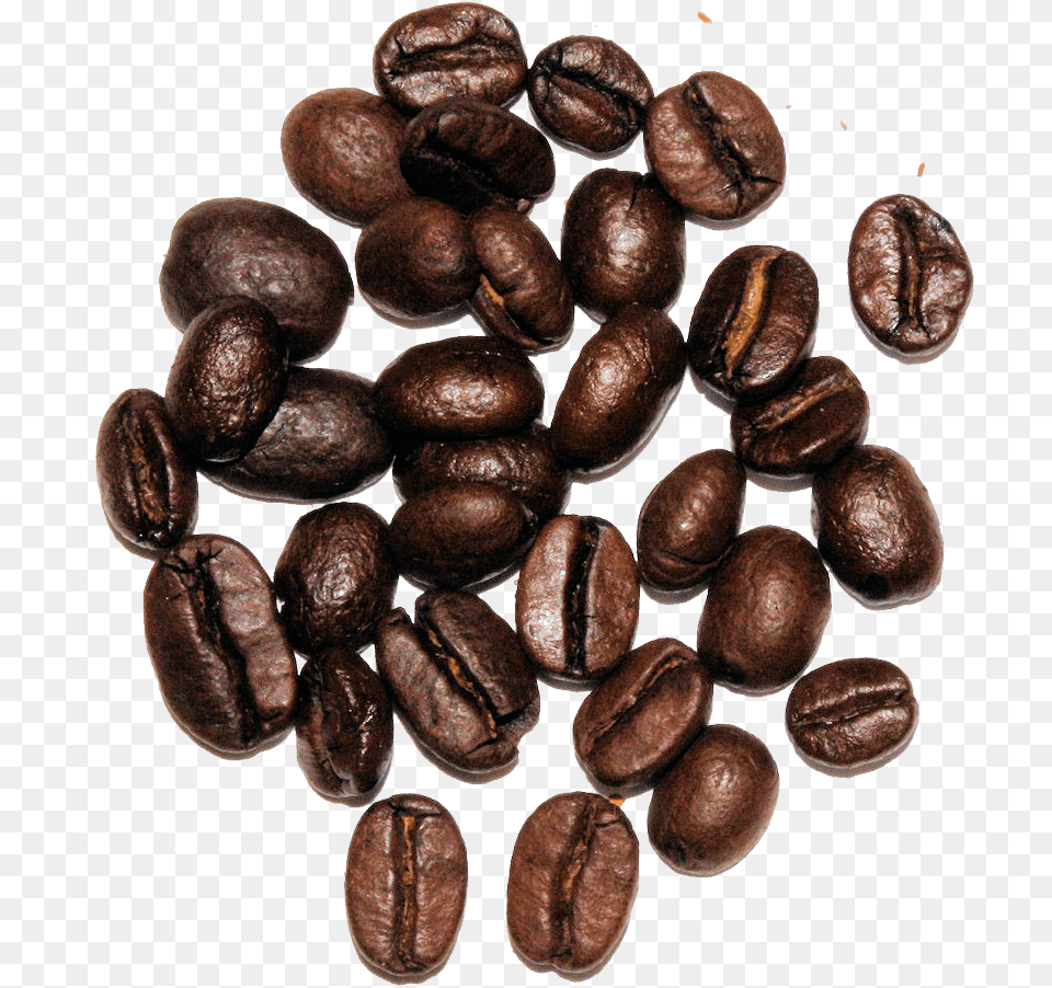 Seed, Beverage, Coffee, Fungus, Plant Free Transparent Png