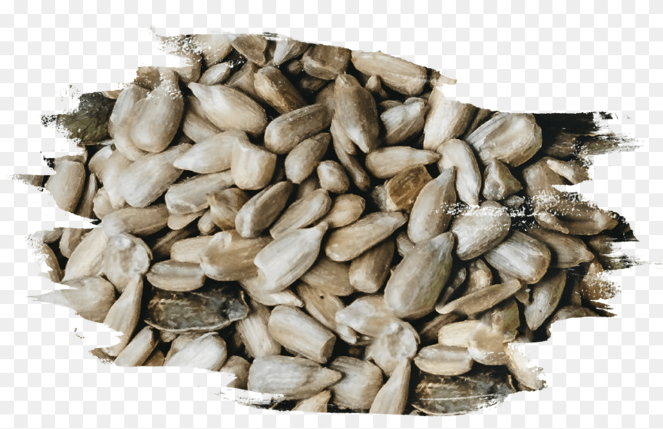 Seed, Food, Produce, Plant, Grain Png Image