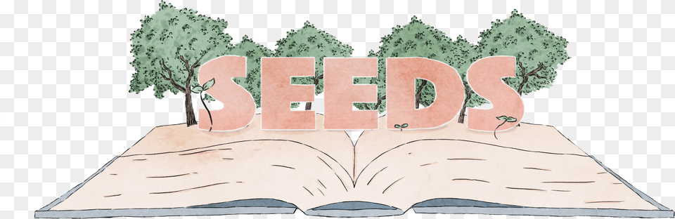 Seed, Wood, Tree, Plant, Plywood Free Png