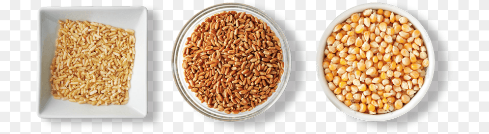 Seed, Food, Grain, Produce Png