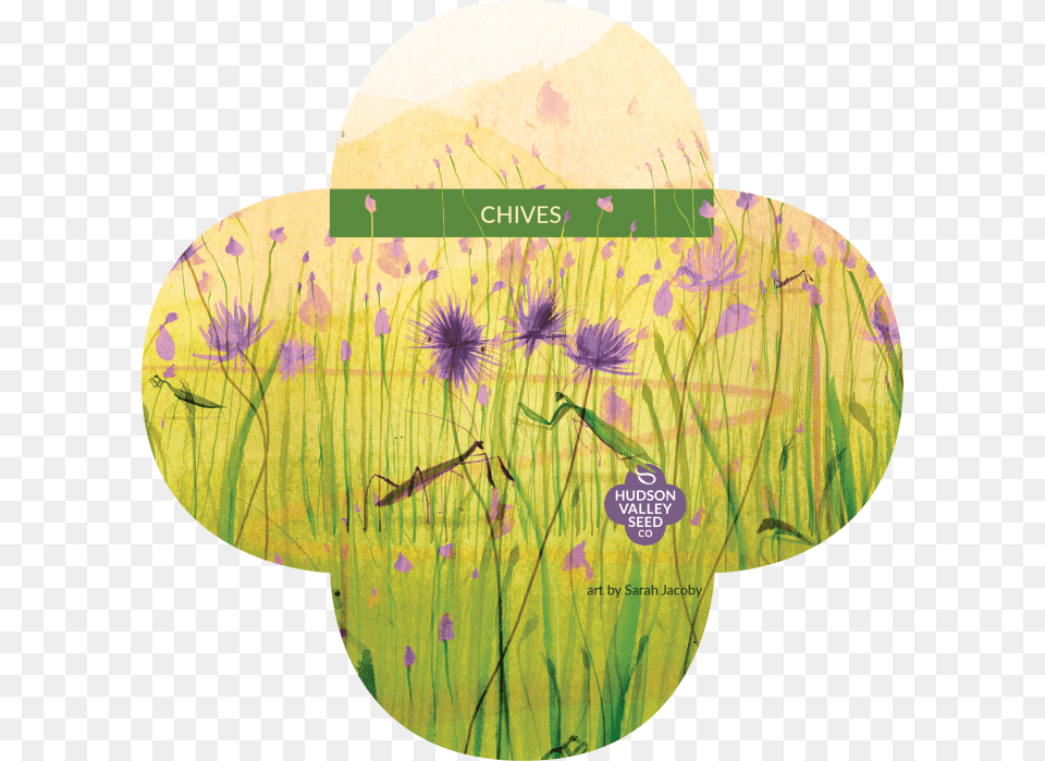 Seed, Purple, Flower, Plant, Art Png