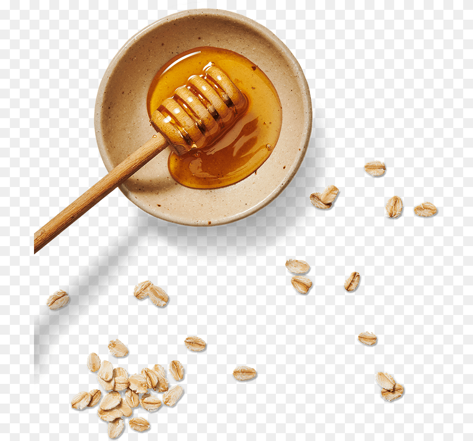 Seed, Food, Honey, Fungus, Plant Png Image