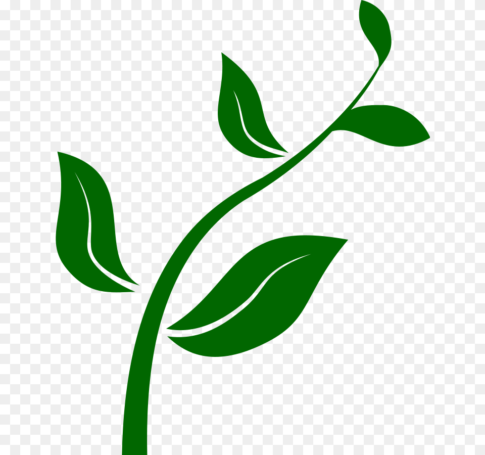 Seed Clip Art, Floral Design, Graphics, Green, Leaf Png Image