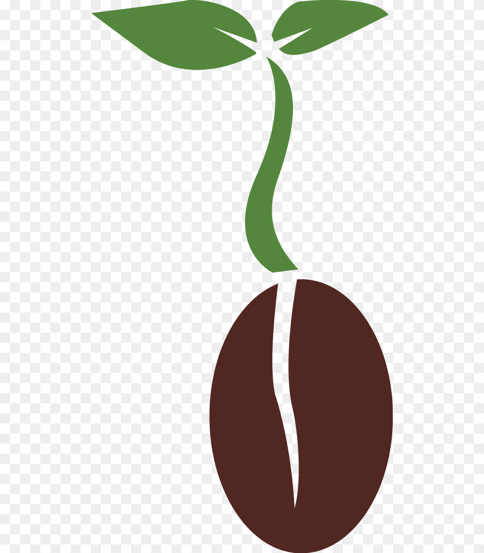Seed Clipart, Leaf, Plant, Herbs, Herbal Png Image