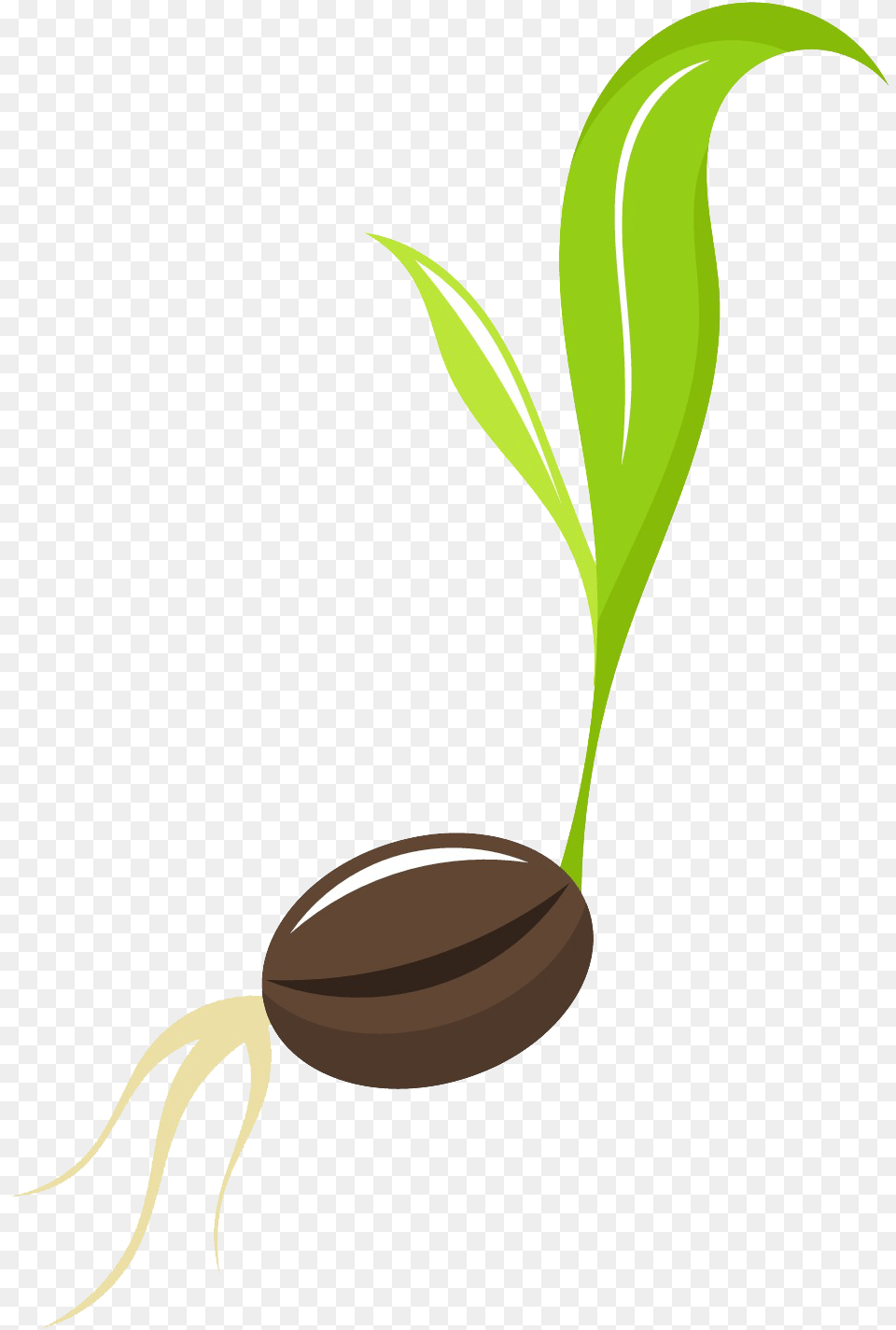 Seed Clipart Apple Tree Seed Clipart, Plant, Sprout, American Football, American Football (ball) Free Png