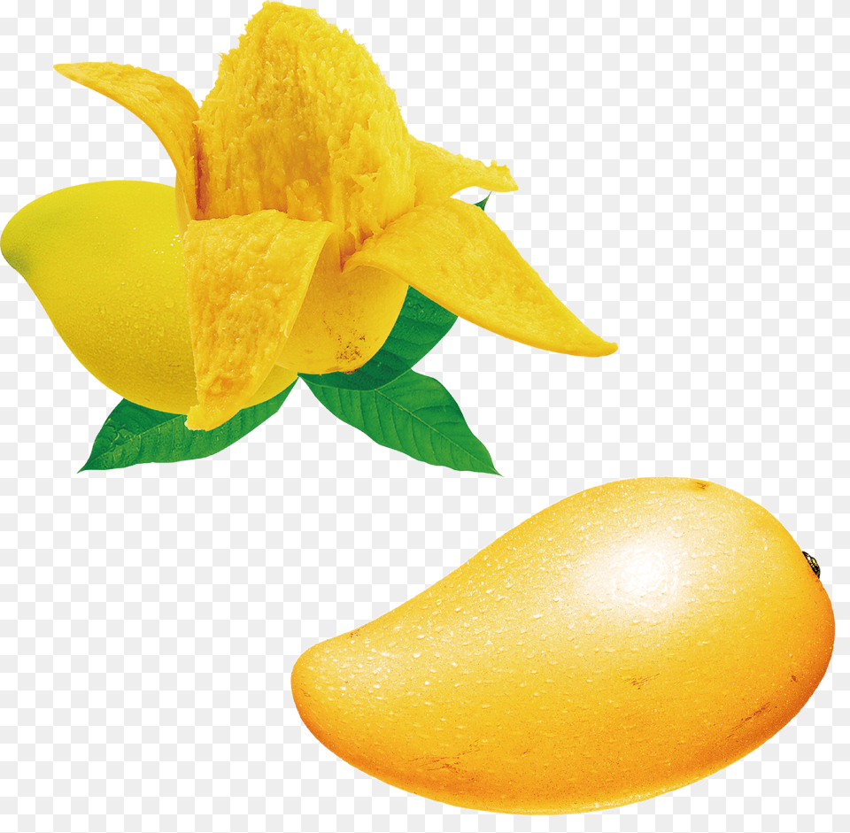 Seed Clipart Mango Seed Mango With Seed Hd, Food, Fruit, Plant, Produce Png