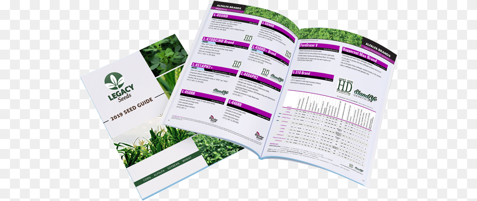 Seed Guide Brochure, Advertisement, Poster Free Png
