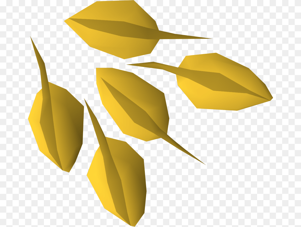 Seed Hd Portable Network Graphics, Leaf, Plant, Animal, Fish Free Png Download
