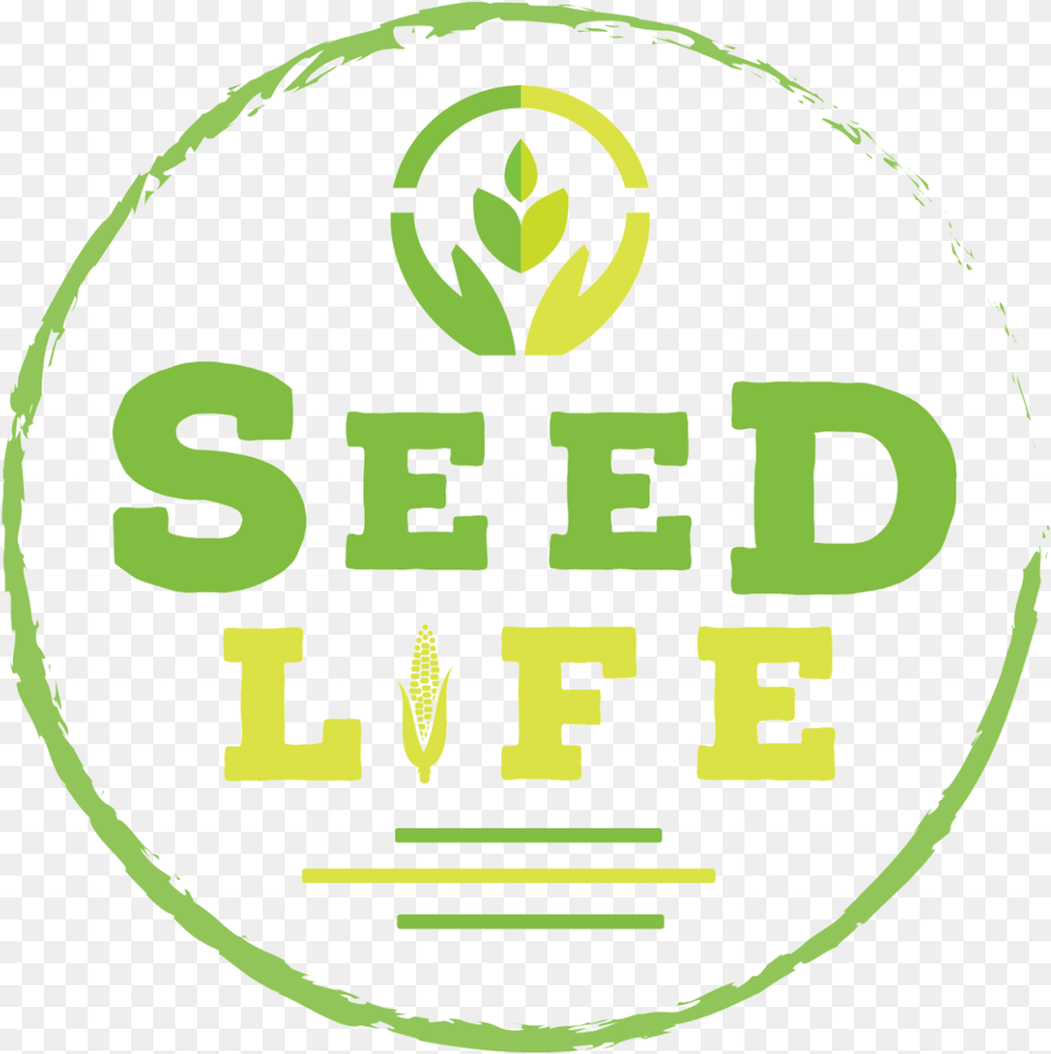 Seed Life Circle, Green, Ammunition, Grenade, Weapon Png Image