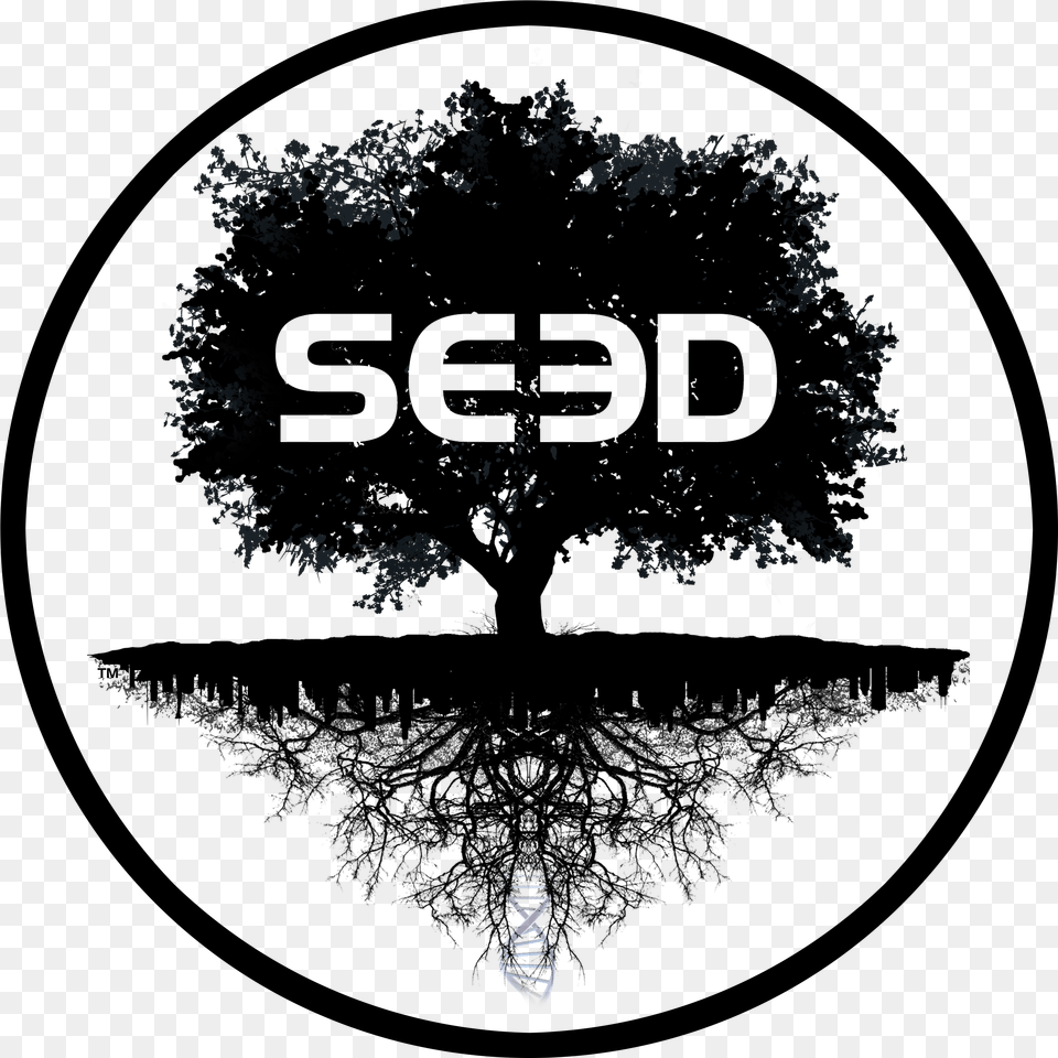 Seed Rob Skiba, Logo, Silhouette, Blackboard, Outdoors Free Png Download