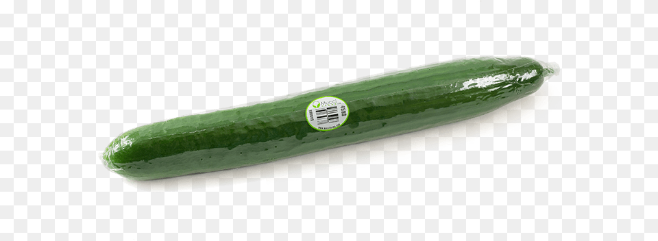 Seedless 1pack Wrapped Cucumber, Food, Plant, Produce, Vegetable Png