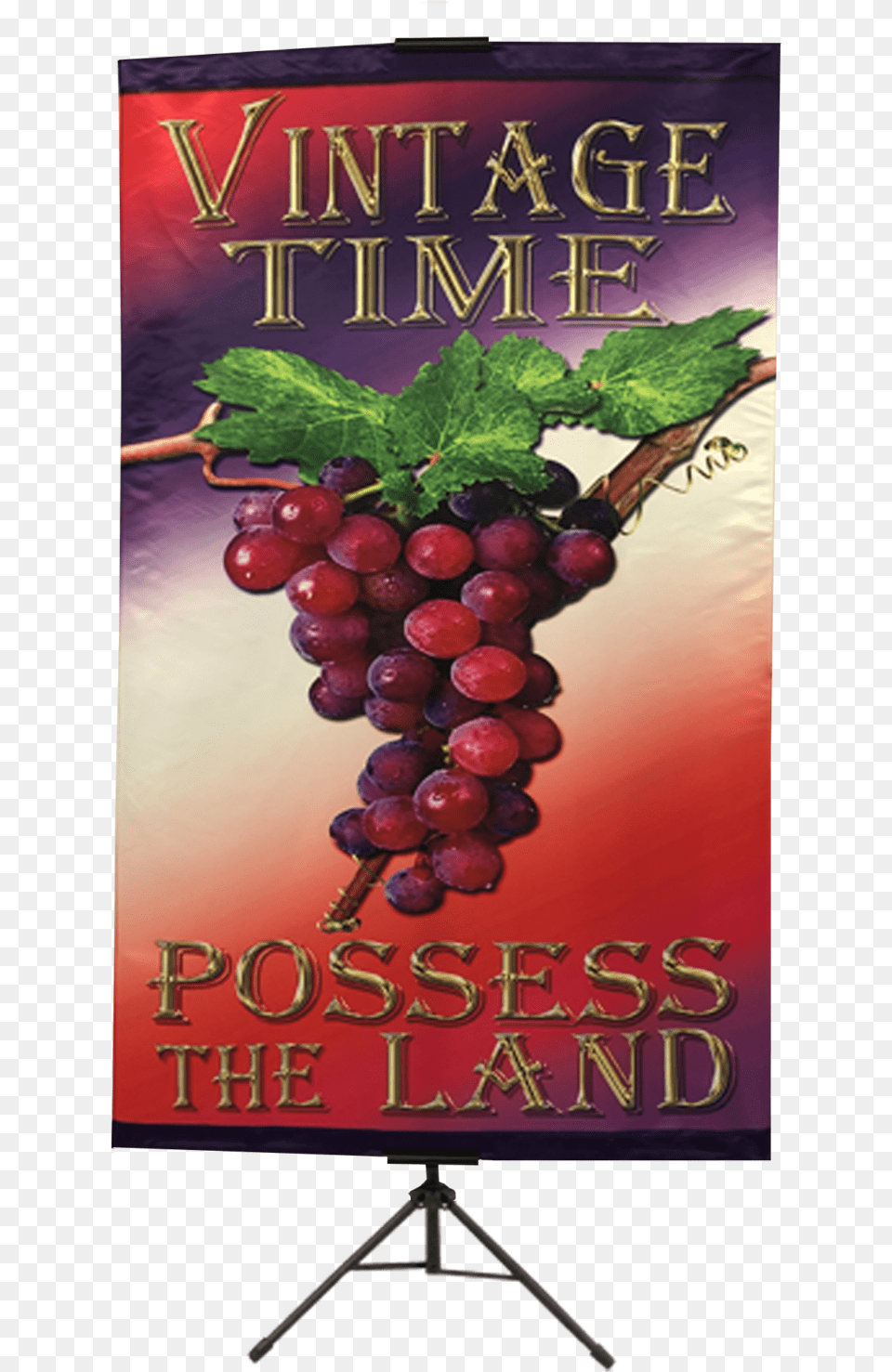 Seedless Fruit, Food, Grapes, Plant, Produce Png