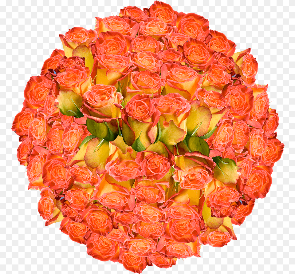 Seedless Fruit, Art, Floral Design, Flower, Flower Arrangement Png