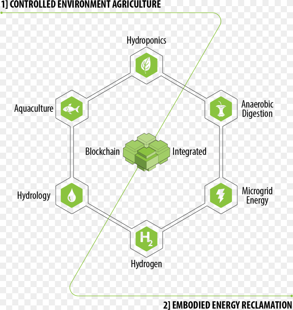 Seedling, Network Png