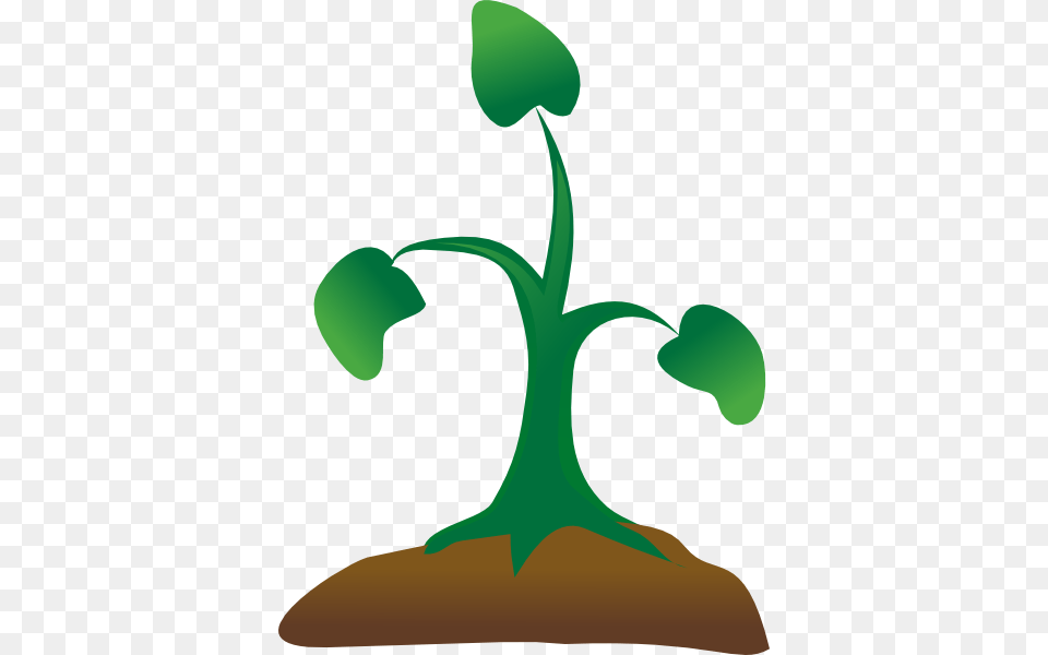 Seedling Clip Art, Plant, Sprout, Herbal, Herbs Png