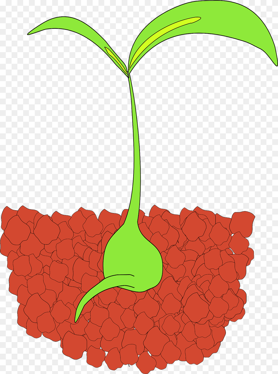 Seedling Clipart, Leaf, Plant, Food, Fruit Png Image