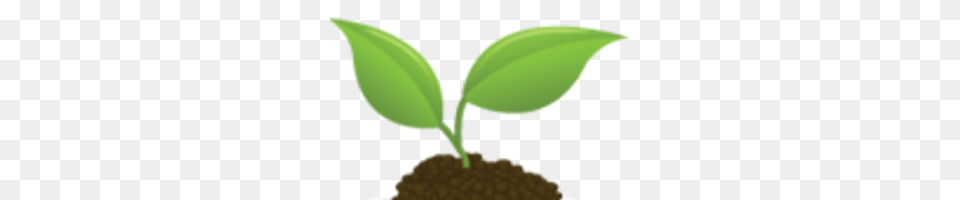 Seedling Clipart, Leaf, Plant, Sprout Free Png Download
