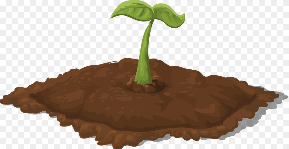 Seedling Clipart, Soil, Plant, Tree, Sprout Png Image