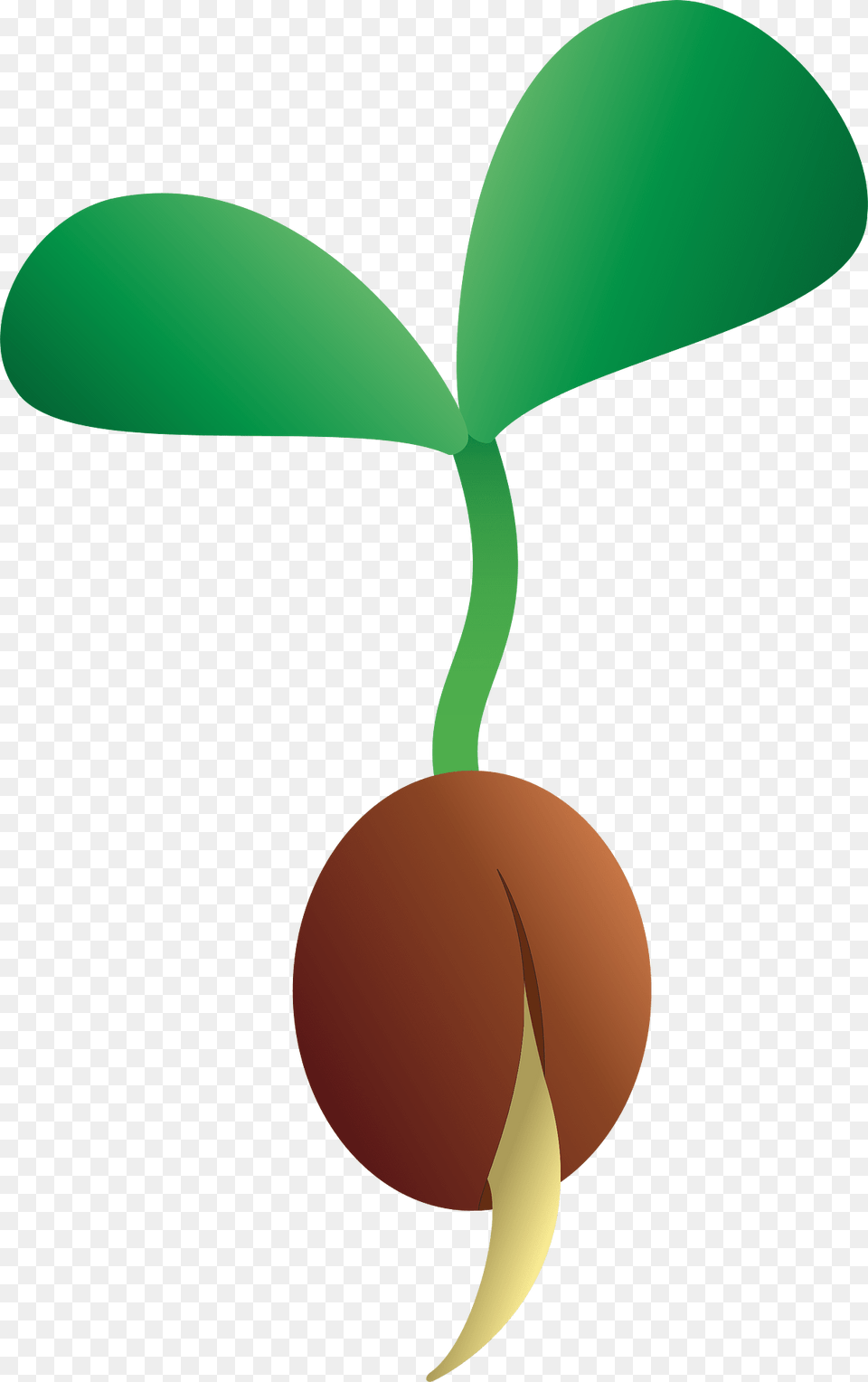 Seedling Clipart, Plant, Sprout, Leaf Free Transparent Png