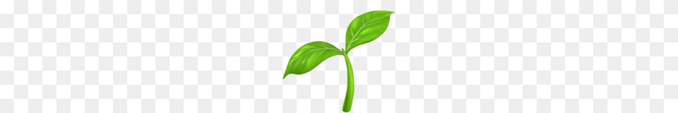 Seedling Emoji On Apple Ios, Green, Leaf, Plant, Appliance Free Png Download