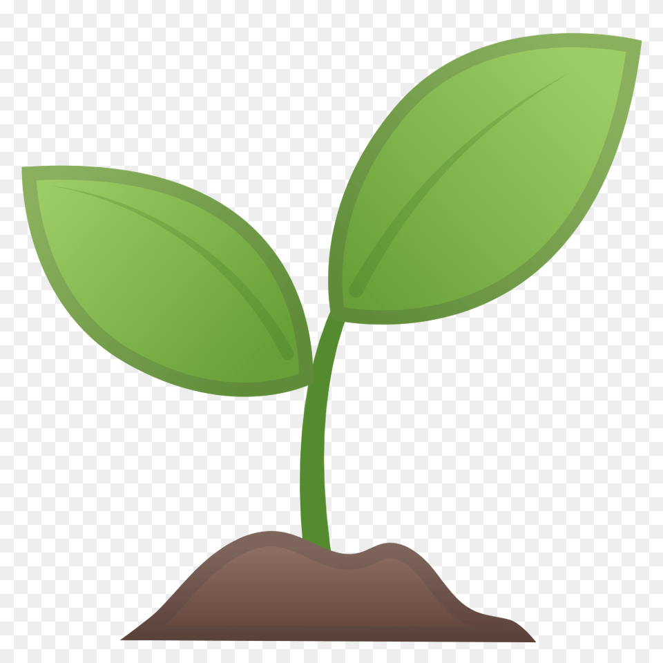 Seedling Icon Noto Emoji Animals Nature Iconset Google, Leaf, Plant, Sprout, Appliance Png Image