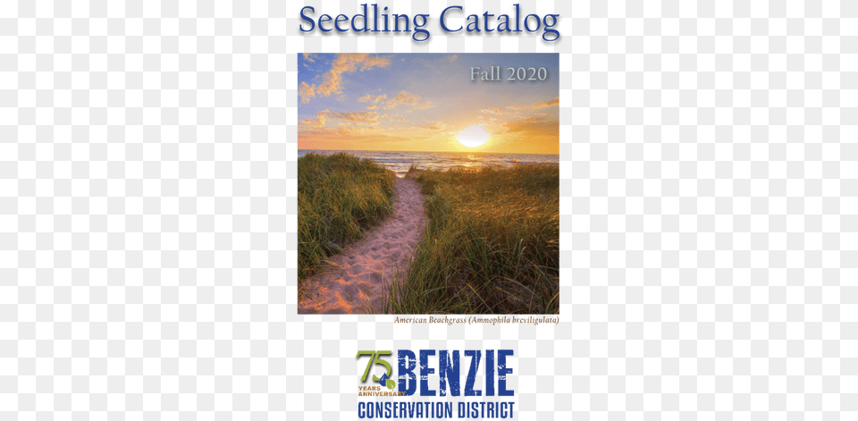 Seedling Sales Horizon, Sky, Nature, Outdoors, Path Free Png
