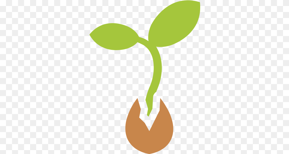 Seedling Seedling Animation, Leaf, Plant, Sprout Free Transparent Png